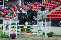 2025 - Shea - Royal West - Sunday October 19th - 06330