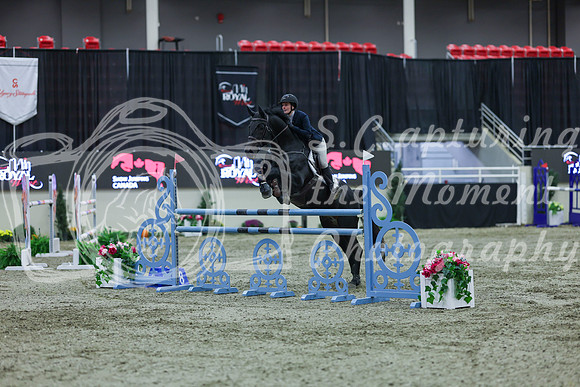2025 - Shea - Royal West - Sunday October 19th - 06342