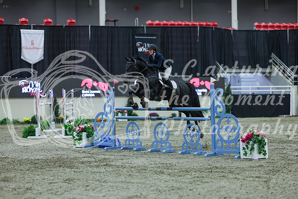 2025 - Shea - Royal West - Sunday October 19th - 06346