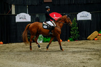 2025 - Haylee - Royal West - Sunday October 19th - 08351