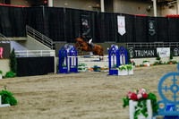 2025 - Haylee - Royal West - Sunday October 19th - 08360