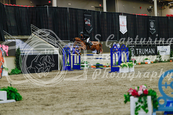2025 - Haylee - Royal West - Sunday October 19th - 08363