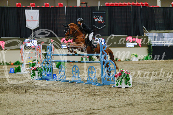 2025 - Haylee - Royal West - Sunday October 19th - 08373