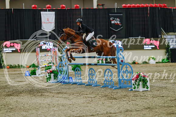 2025 - Haylee - Royal West - Sunday October 19th - 08379