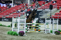2025 - Shea - Royal West - Sunday October 19th - 07346