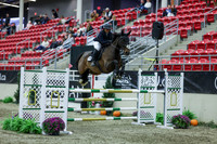 2025 - Shea - Royal West - Sunday October 19th - 07353