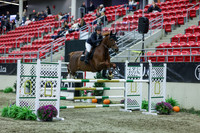 2025 - Shea - Royal West - Sunday October 19th - 07423