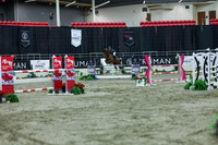 2025 - Shea - Royal West - Sunday October 19th - 07431