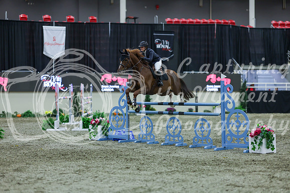 2025 - Shea - Royal West - Sunday October 19th - 07438