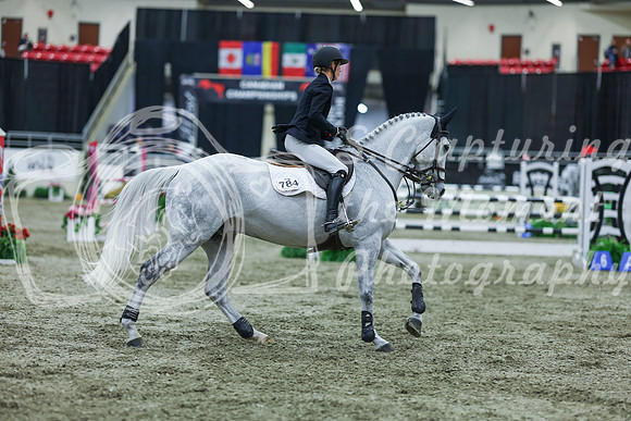 2025 - Shea - Royal West - Sunday October 19th - 07524