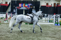 2025 - Shea - Royal West - Sunday October 19th - 07525