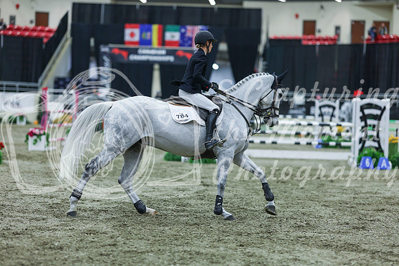 2025 - Shea - Royal West - Sunday October 19th - 07525