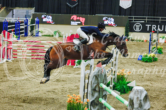 2025 - Haylee - Royal West - Sunday October 19th - 11726
