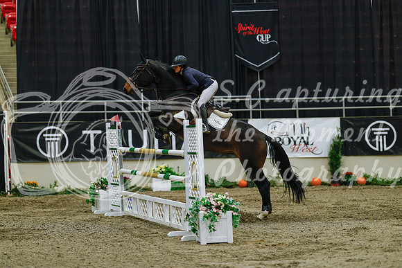 2025 - Haylee - Royal West - Sunday October 19th - 08613