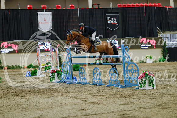 2025 - Haylee - Royal West - Sunday October 19th - 08692