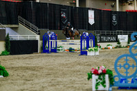 2025 - Haylee - Royal West - Sunday October 19th - 08957