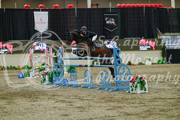2025 - Haylee - Royal West - Sunday October 19th - 08967
