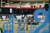 2025 - Haylee - Royal West - Sunday October 19th - 07764