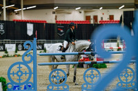 2025 - Haylee - Royal West - Sunday October 19th - 07765