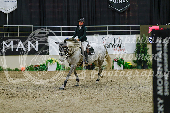 2025 - Haylee - Royal West - Sunday October 19th - 07768
