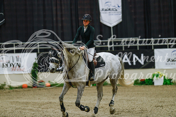 2025 - Haylee - Royal West - Sunday October 19th - 07771