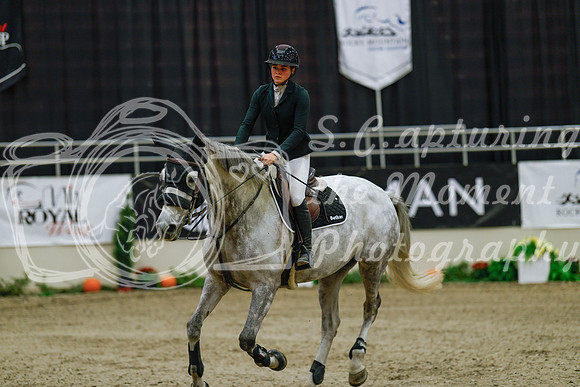 2025 - Haylee - Royal West - Sunday October 19th - 07772