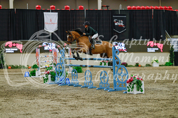 2025 - Haylee - Royal West - Sunday October 19th - 09143