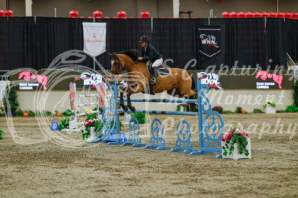 2025 - Haylee - Royal West - Sunday October 19th - 09145