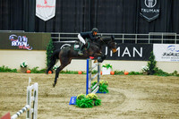 2025 - Haylee - Royal West - Sunday October 19th - 12414