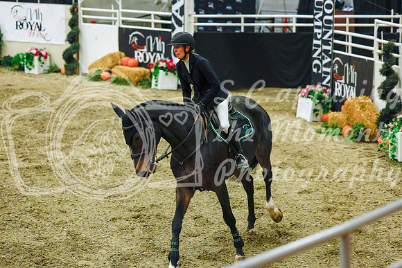 2025 - Haylee - Royal West - Sunday October 19th - 12423