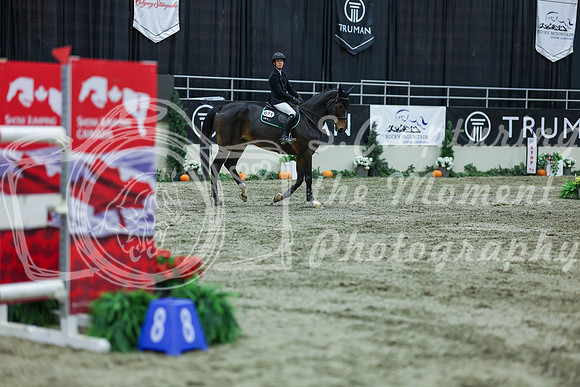 2025 - Shea - Royal West - Sunday October 19th - 10937