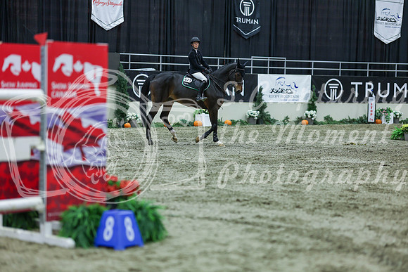 2025 - Shea - Royal West - Sunday October 19th - 10938