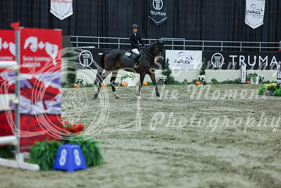 2025 - Shea - Royal West - Sunday October 19th - 10939