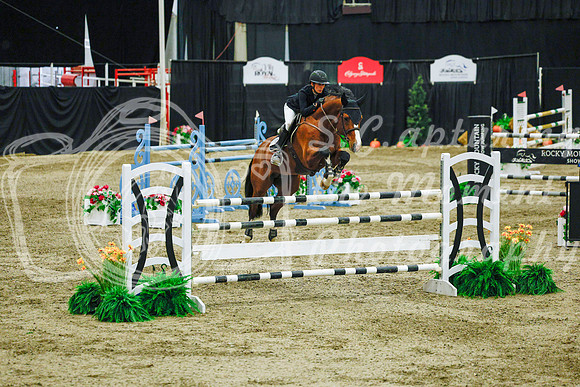 2025 - Haylee - Royal West - Sunday October 19th - 12643