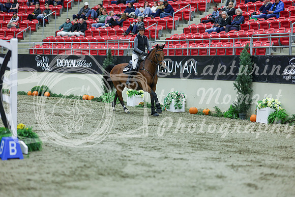 2025 - Shea - Royal West - Sunday October 19th - 10356