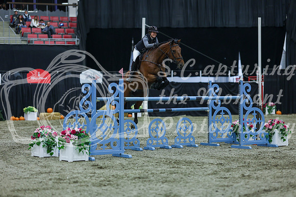 2025 - Shea - Royal West - Sunday October 19th - 10365