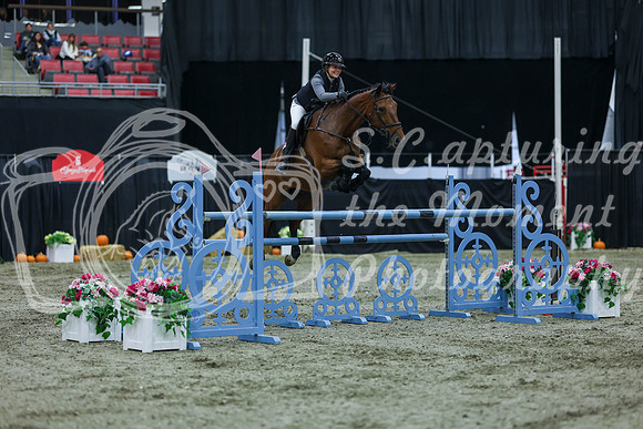 2025 - Shea - Royal West - Sunday October 19th - 10366