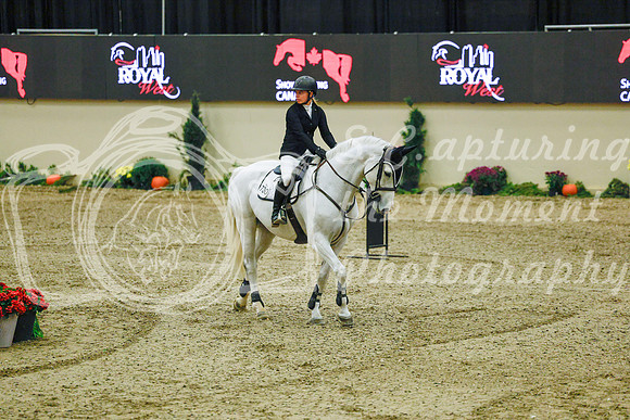 2025 - Haylee - Royal West - Sunday October 19th - 11262