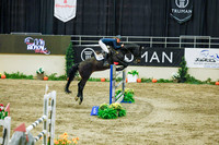 2025 - Haylee - Royal West - Sunday October 19th - 12564