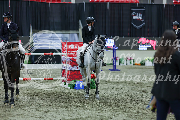 2025 - Shea - Royal West - Sunday October 19th - 13289