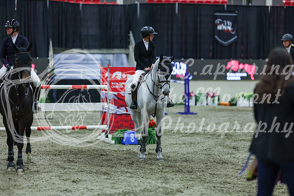 2025 - Shea - Royal West - Sunday October 19th - 13290