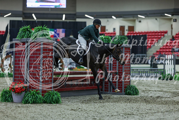 2025 - Shea - Royal West - Saturday October 18th - 00955