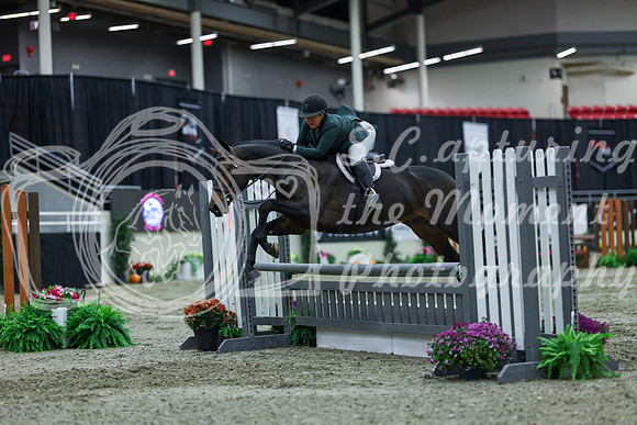 2025 - Shea - Royal West - Saturday October 18th - 00959