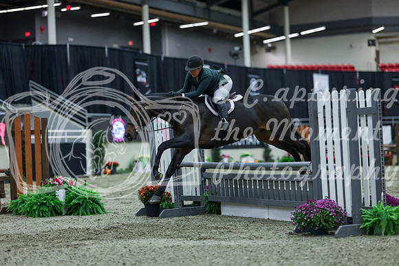 2025 - Shea - Royal West - Saturday October 18th - 00961
