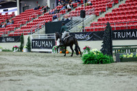 2025 - Shea - Royal West - Saturday October 18th - 00962