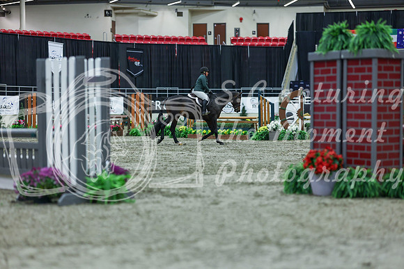 2025 - Shea - Royal West - Saturday October 18th - 00969