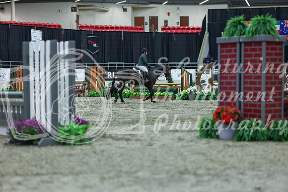 2025 - Shea - Royal West - Saturday October 18th - 00970
