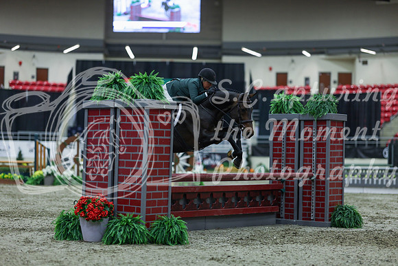 2025 - Shea - Royal West - Saturday October 18th - 00949