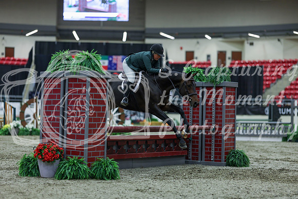 2025 - Shea - Royal West - Saturday October 18th - 00952