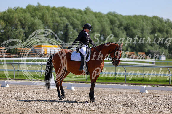 2025 - Dressage Festival - Saturday July 5th - 04313